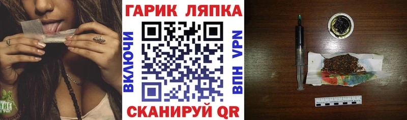 Купить где Камышин ГАШ гарик
