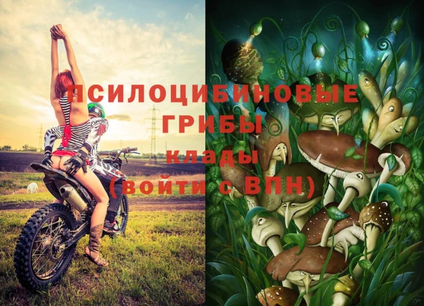 Альфа ПВП Кинешма